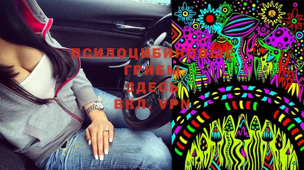 первитин Медвежьегорск