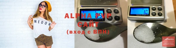 PSILOCYBIN Михайлов