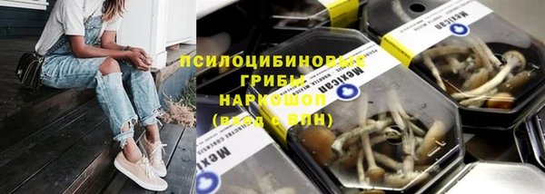 прущая мука Мегион