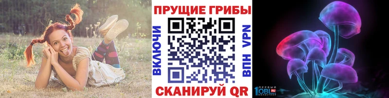 Псилоцибиновые грибы Cubensis  Купить закладки  Славск 
